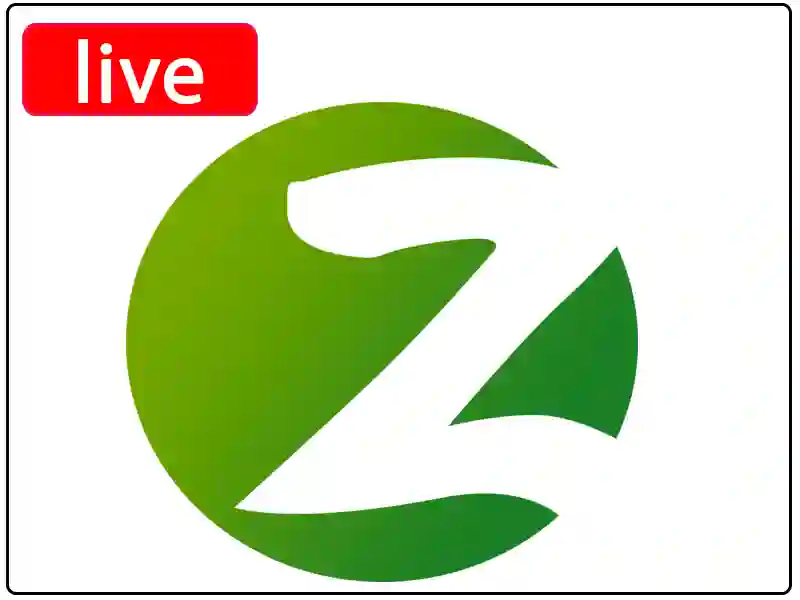 Watch the live broadcast channel Z Ukraine
